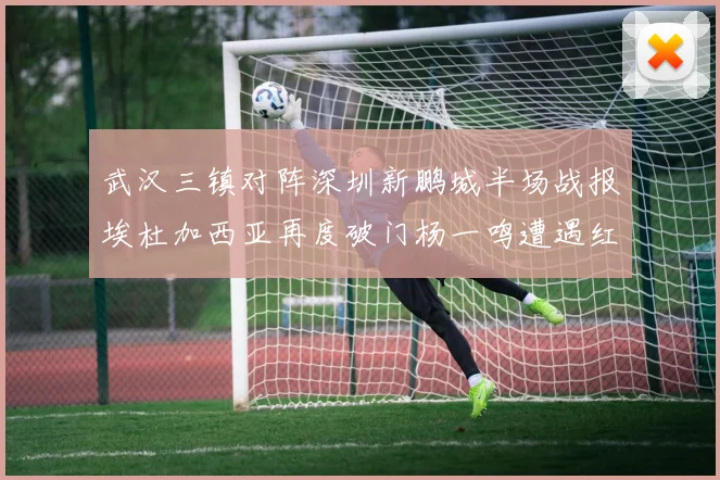 武汉三镇对阵深圳新鹏城半场战报埃杜加西亚再度破门杨一鸣遭遇红牌处罚