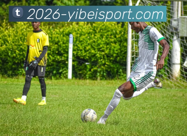 易倍体育APP 封面图